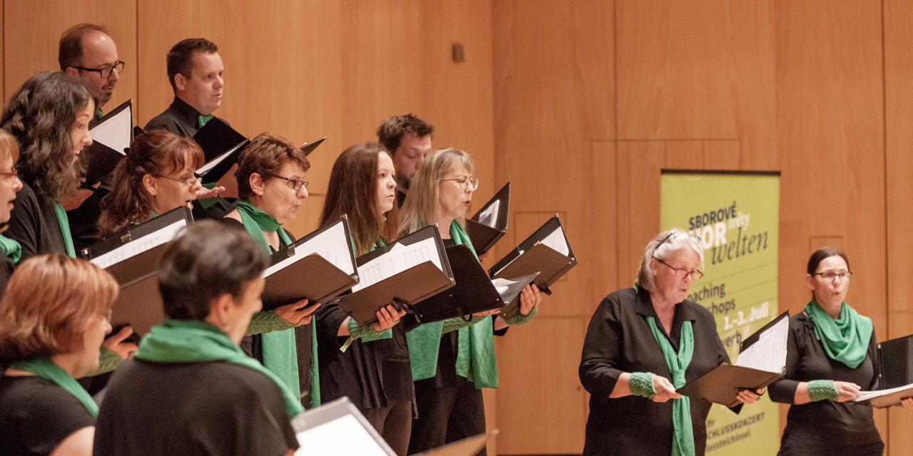 Ein Erwachsenenchor singt aus Notenmappen, alle tragen grüne Schals