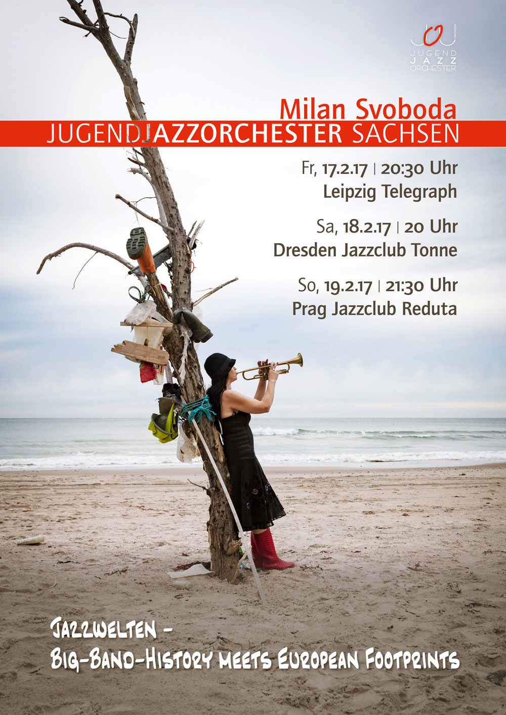 Poster für das Projekt 